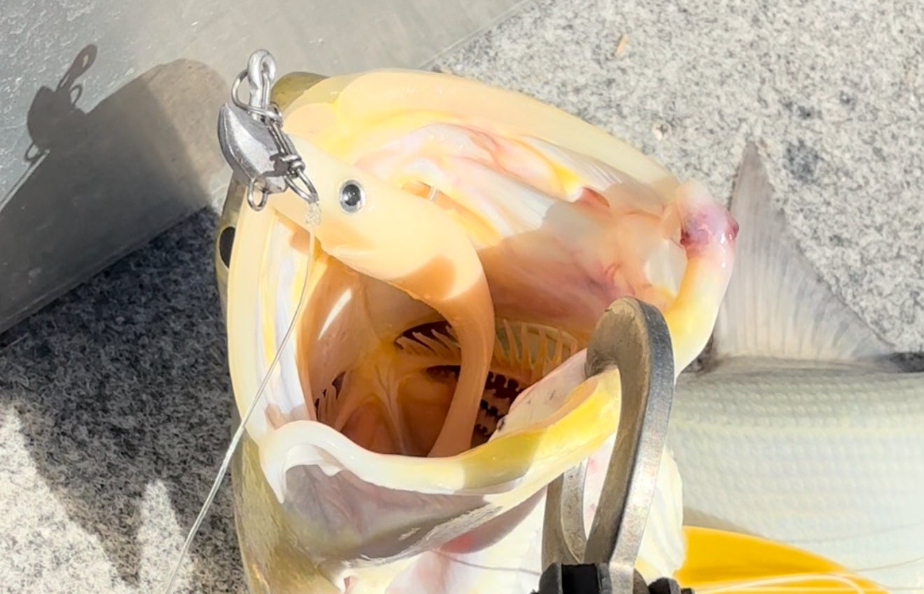 RIGGING GUIDE | Two Ways to Rig the 120mm Pop Eye Mullet