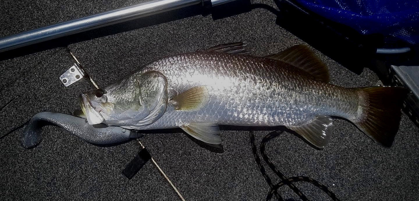 The Rigging Room | When Do You Actually Need a 12/0 Jig Head?