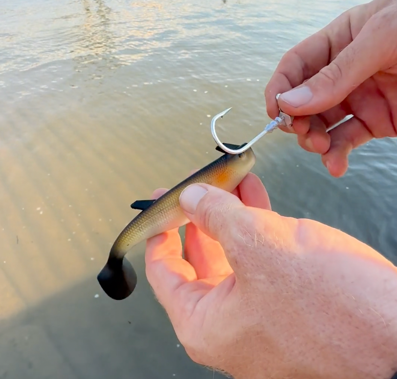 RIGGING GUIDE | HOLLOWBAITS