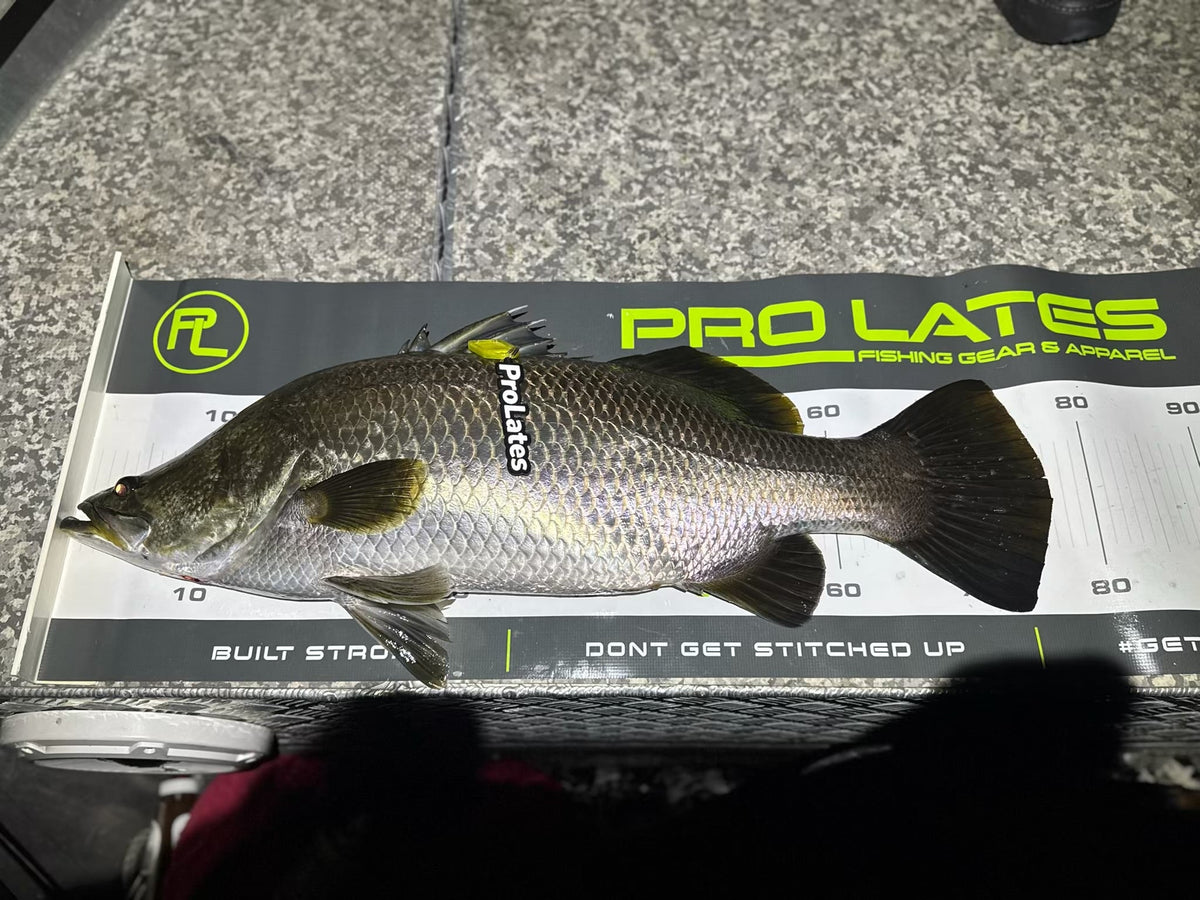 Pro Lates Brag Mat